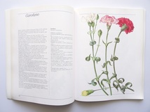 洋書◆花の画集 作品写真集 本 植物 図鑑_画像8