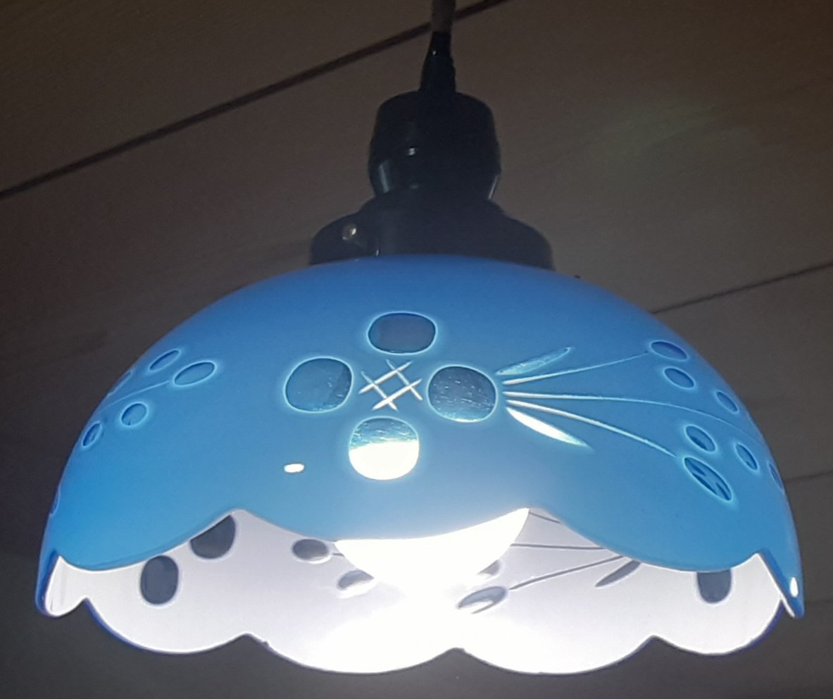 電笠 電傘 和ガラス お宝 大正 昭和初期 切子 シェード ランプ 電灯
