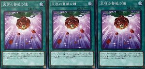 遊戯王 ノーマル 魔法 3枚セット 天啓の薔薇の鐘 19PP