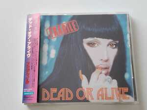 DEAD OR ALIVE / FRAGILE 帯付CD AVEX AVCD11823 2000年リリース,You Spin Me Round,Something In My House,他セルフカヴァー&新曲,