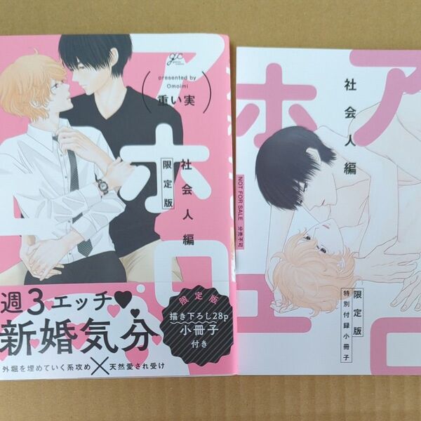 アホエロ 社会人編 限定版 特別付録小冊子付き 重い実