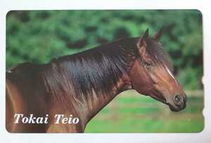 * telephone card unused horse racing Toukaiteio 50 frequency A*