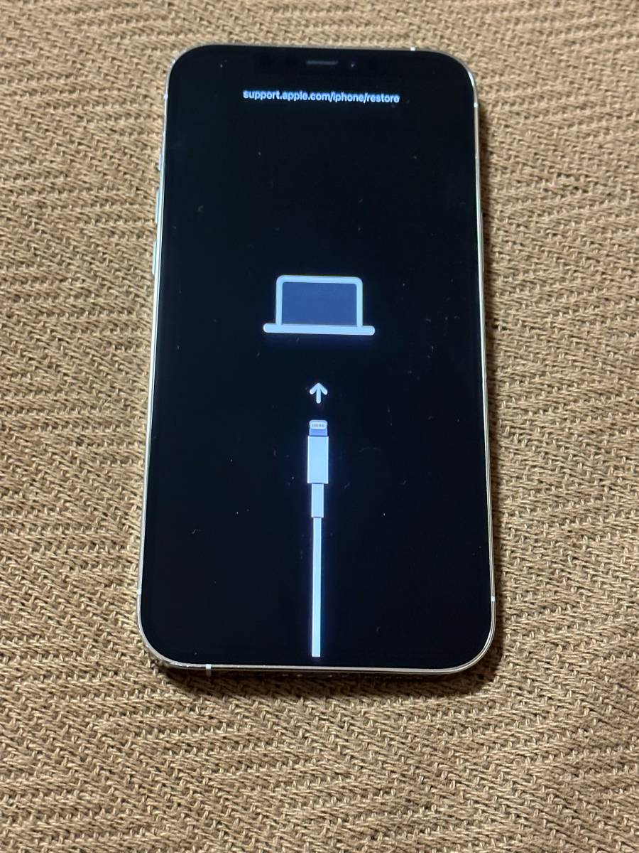 Iphone 12 pro max 純正パネル( ジャンク) | biaxial-films.com