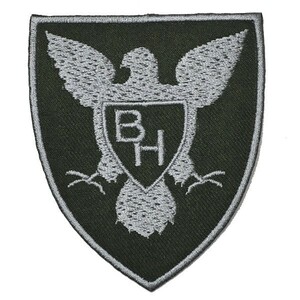 アイロンワッペン・パッチ アメリカ陸軍ブラックホーク緑 部隊章・階級章