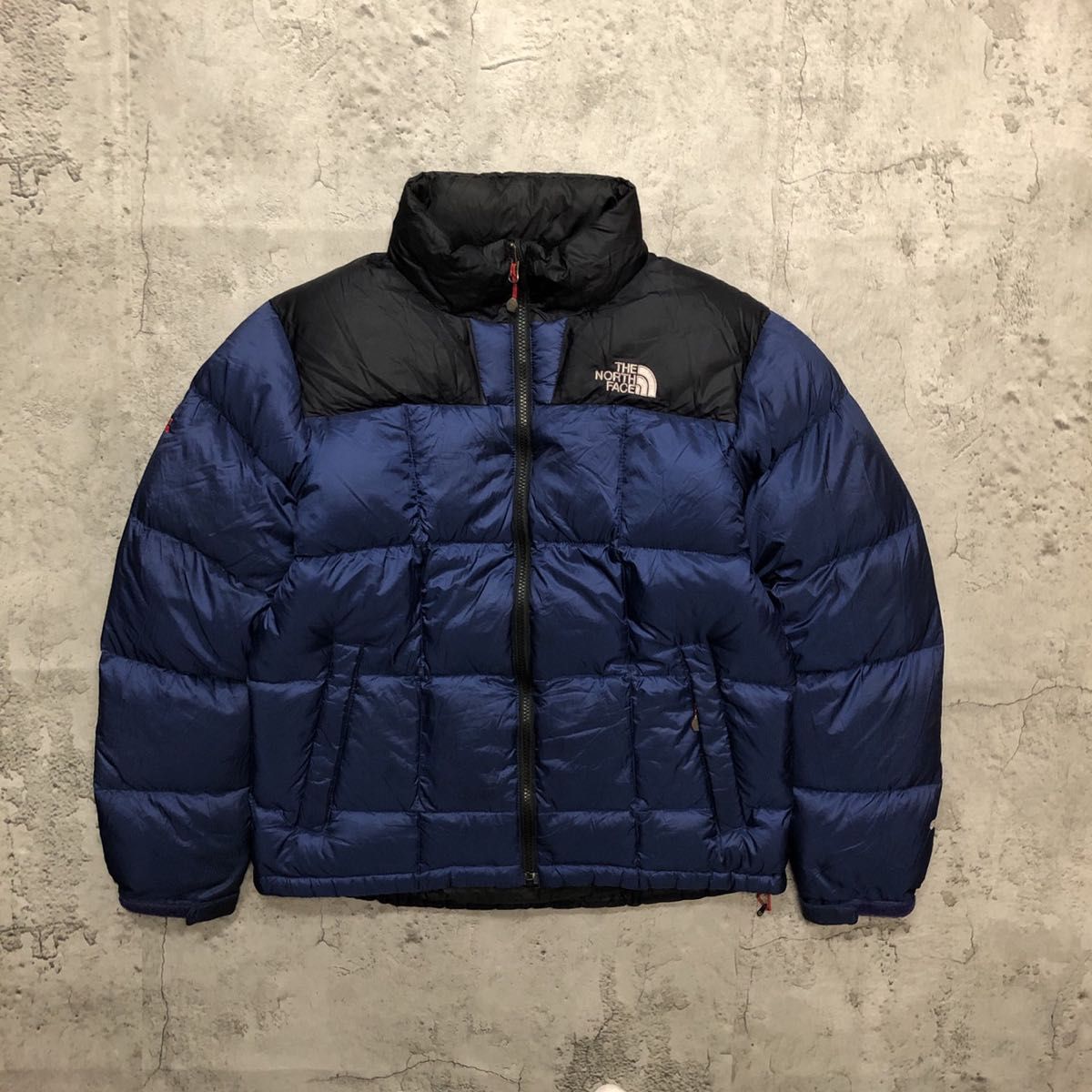 THE NORTH FACE アークティックダウンジャケット サミットシリーズ