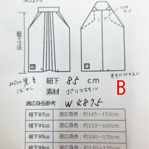 cherry★w4875lz★訳あり★着用可★スプリングセール★卒服コレクション★女性 袴★緑系 ぼかし/卒業式/京都散策にも/はかま【中古品/ポリの画像4