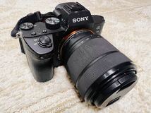 SONY a7Ⅲ ソニー 標準レンズ　三脚　清掃セット　その他　付属品付き_画像2