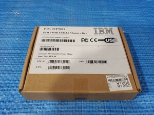 [値下げ] ★upbf 新品未使用 未開封 レア デッドストック コレクション IBM製USBメモリキー スケルトン 22P9024 64MB　2