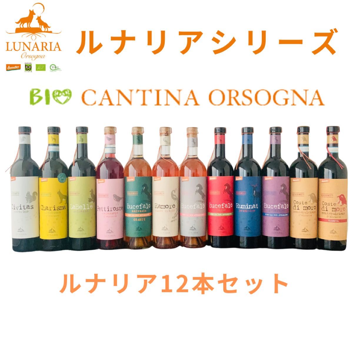 銀座店で購入 ラッキーキャット チョコ ルナ メイ Amazon.co.jp