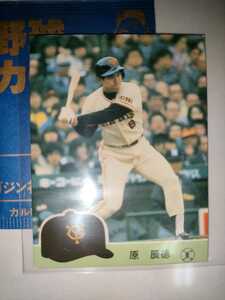 原辰徳　84 カルビープロ野球チップス　no.508 読売ジャイアンツ