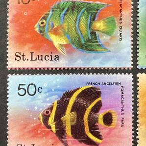 セントルシア 1978年発行 魚 切手 未使用 NHの画像2