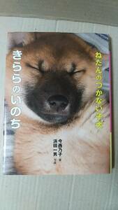 書籍/児童向け、犬、読みもの　今西乃子 / ねだんのつかない子犬 きららのいのち　2018年2刷　岩崎書店　中古