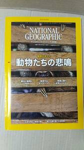 書籍/科学、技術、世界、写真　ナショナルジオグラフィック日本版 2019年6月号 特別レポート 動物たちの悲鳴　中古