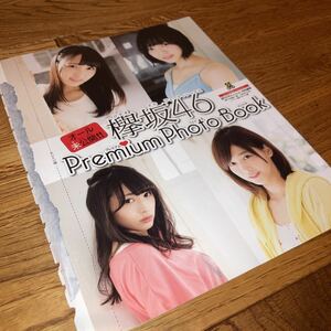 即決★ 欅坂46 平手友梨奈 渡邉理佐 菅井友香 渡辺梨加【　週刊少年チャンピオン プレミアムフォトブック