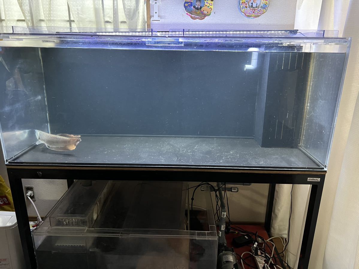 ヤフオク! -水槽台(水槽)の中古品・新品・未使用品一覧