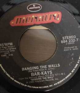 Bar Kays Gina/Banging the walls 7