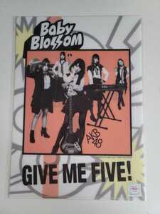 AKB48 クリアファイル ＜GIVE ME FIVE!＞ B 未開封
