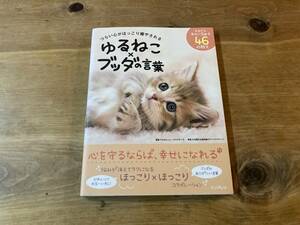 ゆるねこ×ブッダの言葉 つらい心がほっこり癒やされる