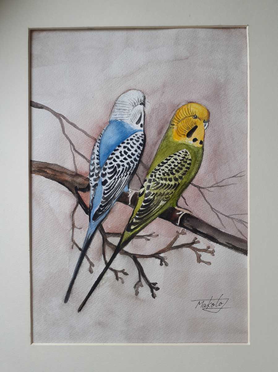 Watercolor Budgerigar, Painting, watercolor, Animal paintings