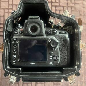 D810用水中ハウジング105mmマクロ使用中古Nikon の画像10