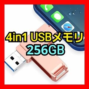 【限定1点】USBメモリ 256GB データ バックアップ USBメモリ USBメモリー