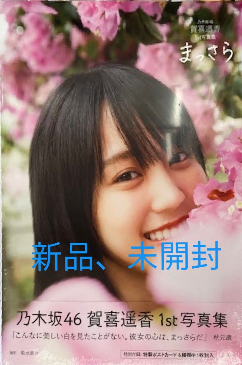 賀喜遥香 写真集 直筆サイン入りパネル パネル展 サイン