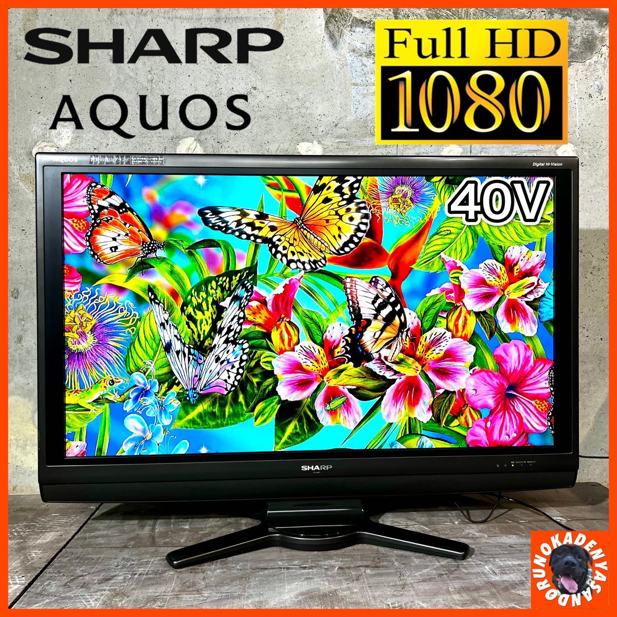 処分セール! 【新品未開封】 43型 大型テレビ orion OL43XD100