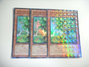 BZ3【遊戯王】ナチュル・ホワイトオーク DTC3-JP051 3枚セット スーパーレア 即決