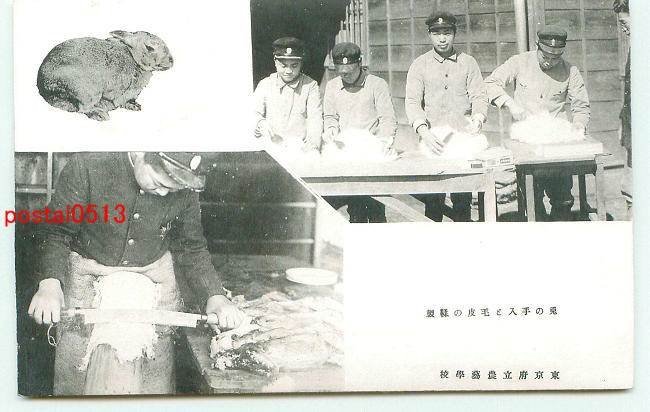 FLA2555【即決有】東京 府立農芸学校絵葉書 袋付10枚 *傷み有り ...