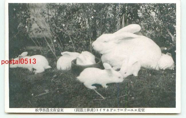 FLA2555【即決有】東京 府立農芸学校絵葉書 袋付10枚 *傷み有り ...