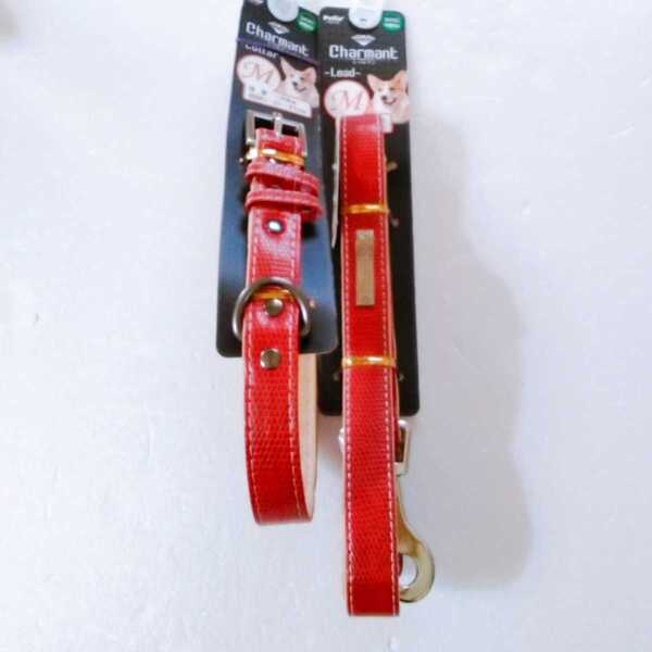 ペティオ シャルマン Lead&Collarセット Mサイズ レッド