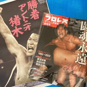 アントニオ猪木追悼号　週刊プロレス　日刊スポーツ