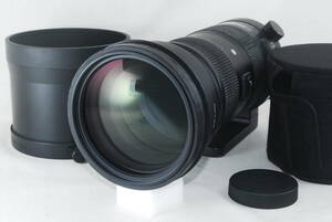 * practical use superior article *SIGMA Sports 150-600mm F5-6.3 DG OS HSM Sigma SA mount!