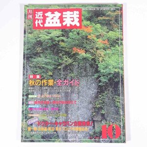 月刊 近代盆栽 No.144 1989/10 近代出版 雑誌 盆栽総合誌 園芸 ガーデニング 植物 特集・秋の作業・全ガイド 木村正彦の世界・真柏大改作