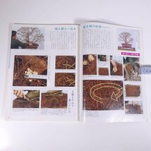 月刊 近代盆栽 No.176 1992/6 近代出版 雑誌 盆栽総合誌 園芸 ガーデニング 植物 特集・正面変更 楓の葉刈り 梅雨期の作業 さつき夢の競演_画像7