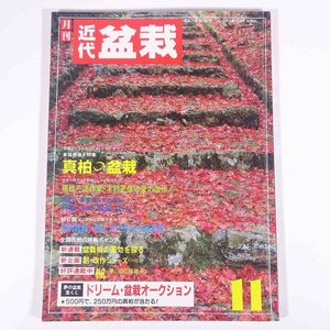 月刊 近代盆栽 No.133 1988/11 近代出版 雑誌 盆栽総合誌 園芸 ガーデニング 植物 特集・真柏の盆栽 木村正彦・愛の改作 ほか