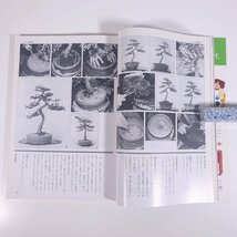 さつき研究 No.158 1983/5 月刊さつき研究社 雑誌 園芸 ガーデニング 植物 盆栽 皐月 サツキ 特集・花色別人気銘花一覧 ほか_画像8