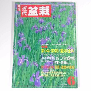 月刊 近代盆栽 No.128 1988/6 近代出版 雑誌 盆栽総合誌 園芸 ガーデニング 植物 特集・芽つみ・芽切り・葉刈り全科 さつき盆栽 ほか