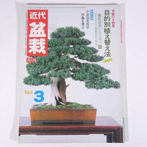 月刊 近代盆栽 No.77 1984/3 近代出版 雑誌 盆栽総合誌 園芸 ガーデニング 植物 特集・目的別植え替え法 徹底追及シリーズ・根 ほか