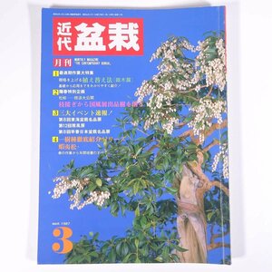 月刊 近代盆栽 No.113 1987/3 近代出版 雑誌 盆栽総合誌 園芸 ガーデニング 植物 特集・樹格を上げる植え替え法 枝接ぎ技法大公開 ほか