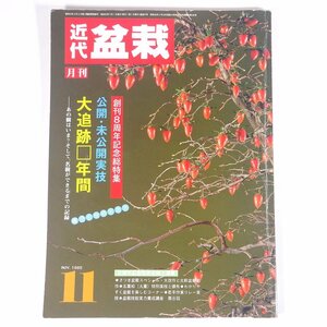 月刊 近代盆栽 No.97 1985/11 近代出版 雑誌 盆栽総合誌 園芸 ガーデニング 植物 特集・公開・未公開実技 大追跡□年間 ほか