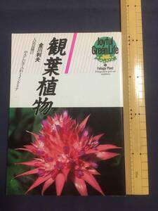 『永岡書店　“観葉植物”　金川利夫』人気品種のやさしい手入れとインテリア