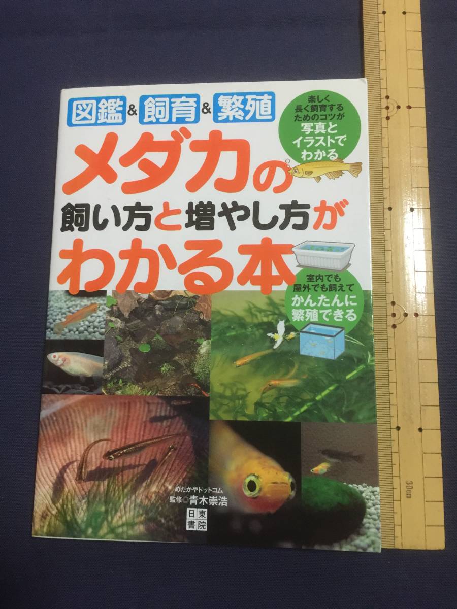 楽天】直営 メダカ飼育・繁殖の究極セット 本・音楽・ゲーム | asca.com.br