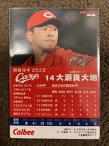 プロ野球チップス 2022 第2弾 広島東洋カープ 大瀬良大地 開幕投手 スターカード_画像2