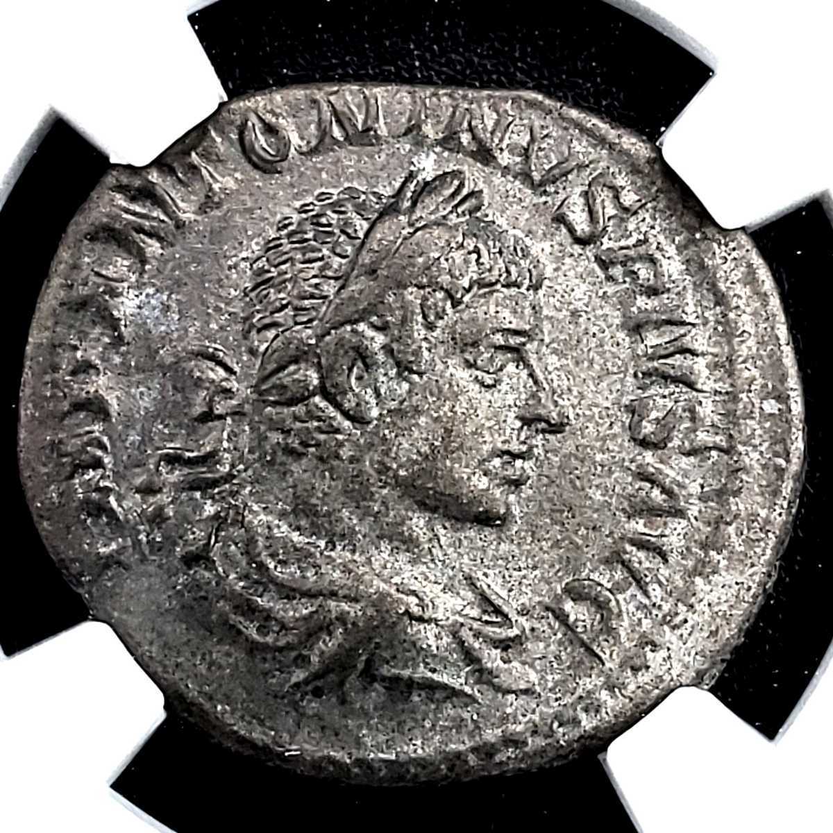 NGC ローマ帝国 ドミティアヌス AU AR デナリウス 銀貨 古銭 www