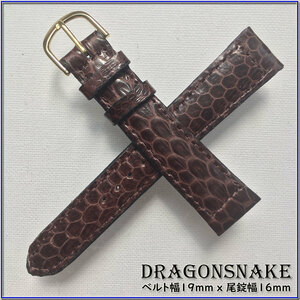 SALE! специальный заказ 19mm натуральная кожа Dragon Sune ik носорог ketelik змея кожа часы ремень ITALIAN GOLD BUCKLE DARK BROWN..