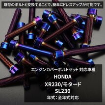 XR230/モタード SL230 エンジンカバー クランクケース ボルト 23本セット ステンレス製 スリムヘッド 焼きチタンカラー TB6488_画像2