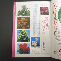 特3 72836★ / 北国の園芸 1978年7月号 ジャーマンアイリス 寒冷地のバラづくり 寄せ植え盆栽 野草を楽しむ 北国の植物園めぐり_画像3