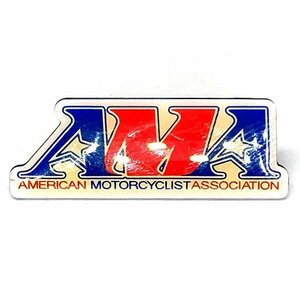 AMA Vintage pin badge AMA Vintage Pin America motorcycle association Biker pin zAmerican Motorcycle Association Pins