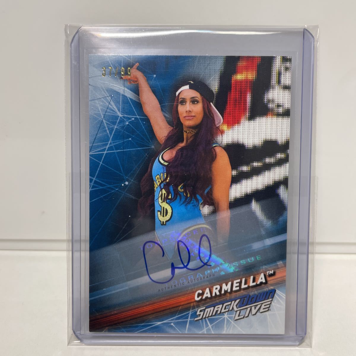 新しい季節 wwe panini ロンダ・ラウジー 直筆サインカード その他